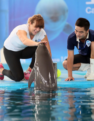 他们展现了 他们展现了