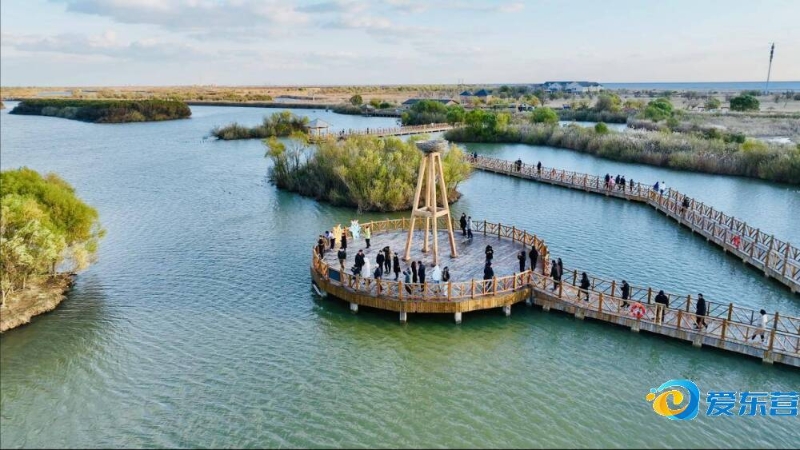 的批评不仅 的批评不仅